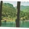 #carte postala(ilustrata)-TUSNAD-Lacul Ciucas