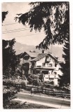 #carte postala(ilustrata)-TIMISUL DE SUS