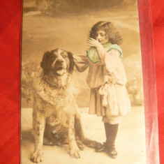 Carte Postala -Fetita si Caine , circ. 1906
