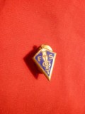 Insigna veche cu talpica- FSGT - Fed. Franceza de Gimnastica , h= 1,8 cm