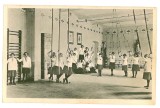 554 - TIMISOARA, high school, gym class - old postcard - unused