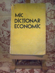 G. A. Kozlov - Mic dictionar economic foto