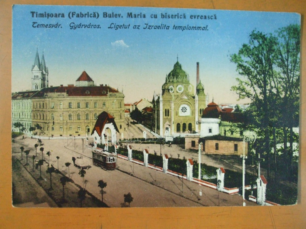 spectrum Celebrity Arabic Carte postala Timisoara Sinagoga Fabrica Bulevardul Maria cu biserica  evreasca | Okazii.ro