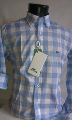 CAMASA /CAMASI LACOSTE slim fit BUMBAC 100% CALITATE !!! foto