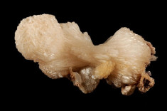 Vand zeolith stilbite roca de colectie (fosile, roci, minerale, flori de mina ) foto