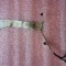 BANDA DISPLAY CABLU LCD LVDS ASUS X52N K52N 1422-00R30AS PERFECT FUNCTIONAL