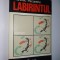 Labirintul &amp;ndash; Francisc Pacurariu Ed. Dacia 1976