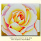 Pictura cu trandafir - ulei pe panza 60x50cm, livrare gratuita in 24h