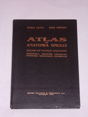 ATLAS DE ANATOMIA OMULUI- SISTEMUL NERVOS CENTRAL- VIOREL RANGA, RADU DIMITRIU foto