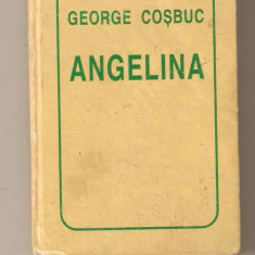 George Cosbuc-Angelina