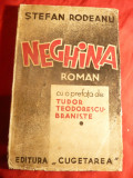 Stefan Rodeanu - Neghina - Prima Ed. interbelica , prefata T.Teodorescu-Braniste, Alta editura