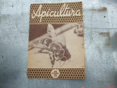 revista apicultura foto