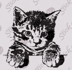 Cat_Tatuaj Perete_Sticker Wall Cod: WALL-420 - Orice culoare, Orice model pe comanda foto