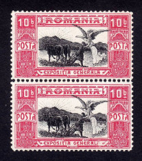 Expozitia Generala 1906 - Valoarea de 10 BANI in pereche cu EROARE !!!!! - MNH foto