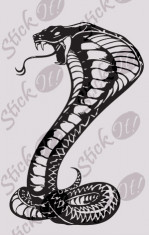 Cobra_Tatuaj Perete_Sticker Wall Cod: WALL-425 - Orice culoare, Orice model pe comanda foto