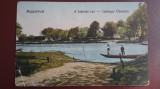 Vedere/CP-Magyarovar-A kalnoki rev - Galinger Uberfuhr - Circulat cu Taxa extra
