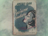 Pasiune ciudata-Andrei Ioan