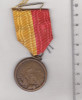 Bnk md Belgia - Medalia Liege 1914