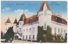 Carei,Satu Mare,Castelul Carolyi,necirculata, 1916 foto