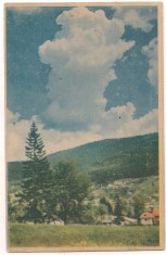 #carte postala(ilustrata)-POIANA TAPULUI -Vedere spre Zamora( supratipar 35 bani pe 5 lei)