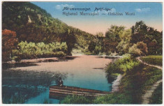 Sighetu Marmatiei,Maramures,Gradina Morii,necirculata, 1917 foto