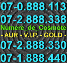 Cartela Cartele Numar Numere_AUR_VIP_PLATINA_GOLD_USOR_USOARE_SPECIALE_Cosmote__07-0.888.113__07-2.888.338__07-2.888.330__07-1.888.440__100_Lei_Bucata foto