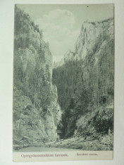 GHEORGHIENI - STRAMTOAREA IN MUNTI - INCEPUT DE 1900 foto