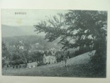 BORSEC - BORSZEK - ANUL 1929