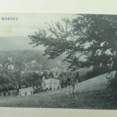 BORSEC - BORSZEK - ANUL 1929