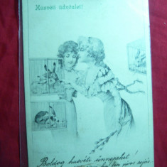 Ilustrata- Felicitare , circ. 1903 de la Deva la Arad - Femei si iepuri