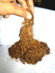 Tutun firicel ( Cel mai bun tutun de pe piata) Fermentat si aromat 100% natural (cultura proprie) foto