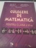 CULEGERE DE MATEMATICA CLASA VI