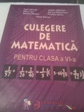 Cumpara ieftin CULEGERE DE MATEMATICA CLASA VI