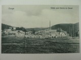 AZUGA - VEDERE SPRE FABRICA DE CIMENT