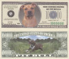 USA 1 Million Dollars Caine Pit Bull UNC