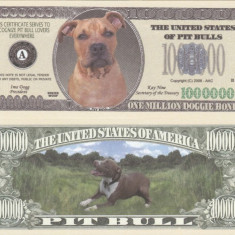 USA 1 Million Dollars Caine Pit Bull UNC