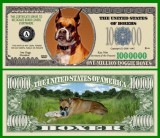 USA 1 Million Dollars Caine Boxer UNC