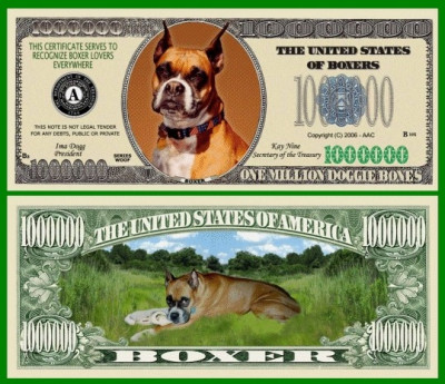 USA 1 Million Dollars Caine Boxer UNC foto