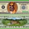 USA 1 Million Dollars Caine Boxer UNC