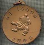 ATAM2001 MEDALIE 386 - SPORTIVA - JUDO - AS ISSOU -FRANTA - 10 ANS DE JUDO A ISSOU - 1982-1992 - starea care se vede