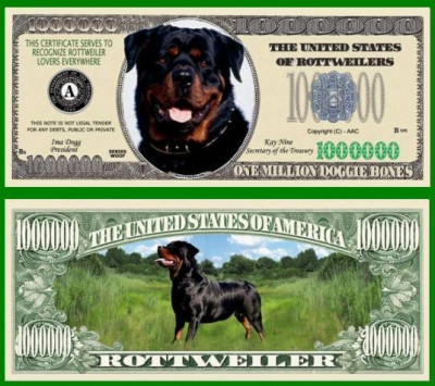 USA 1 Million Dollars Caine Rottweiler UNC foto
