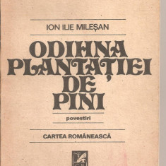 (C5373) ODIHNA PLANTATIEI DE PINI DE ION ILIE MILESAN, EDITURA CARTEA ROMANEASCA, 1988, POVESTIRI