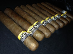 Trabucuri cigars Cohiba foto