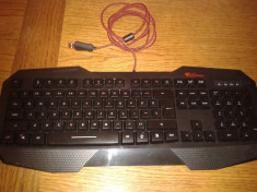 Tastatura Gaming NATEC Genesys RX33 Iluminata foto