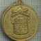 ATAM2001 MEDALIE 426 - MILITARA - UBI GLORIA IBI SUM - 67 BATTAGLIONE F. MEC. ,,MONTELUNGO&quot; -MEDAGLIA D&#039;ORO - starea care se vede