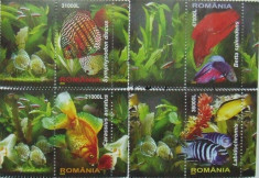 LOT TIMBRE ROMANIA - PESTI EXOTICI 2005 - RO 0076 foto