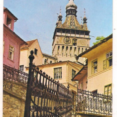 #carte postala(ilustrata)-SIGHISOARA -Turnul cu ceas