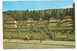#carte postala(ilustrata)-SOVATA -vedere