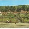 #carte postala(ilustrata)-SOVATA -vedere