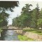#carte postala(ilustrata)-COVASNA-Raul Covasna